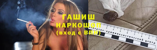 сатива Лабытнанги