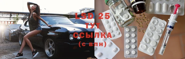 сатива Лабытнанги