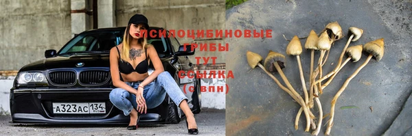 кокаин Ладушкин